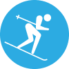Disability Skiing
