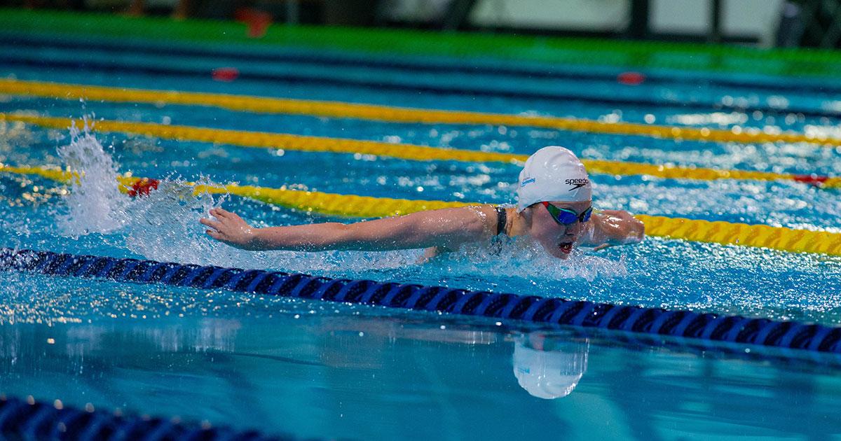 Poppy swimming in a race